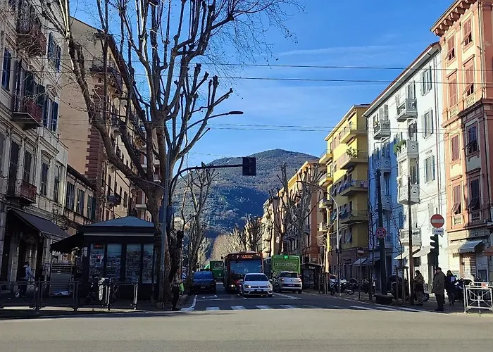Mirdita -